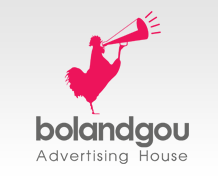 نمونه کارها