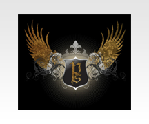 نمونه کارها